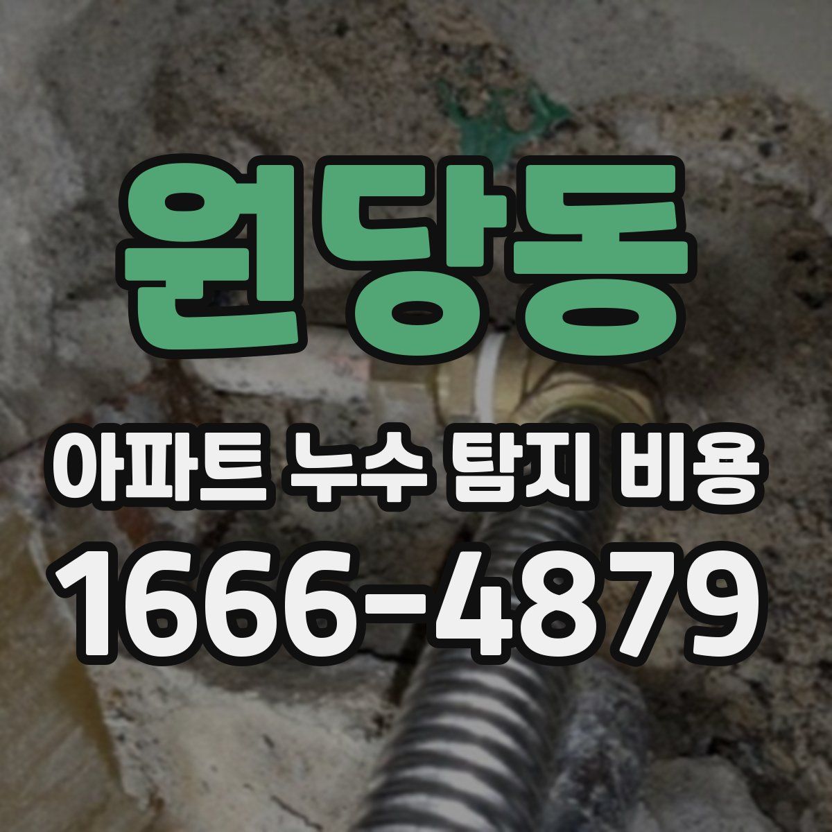 원당동 아파트 누수 탐지 비용