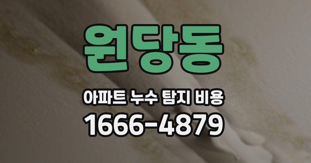원당동 아파트 누수 탐지 비용