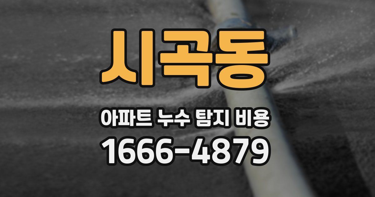 시곡동 아파트 누수 탐지 비용