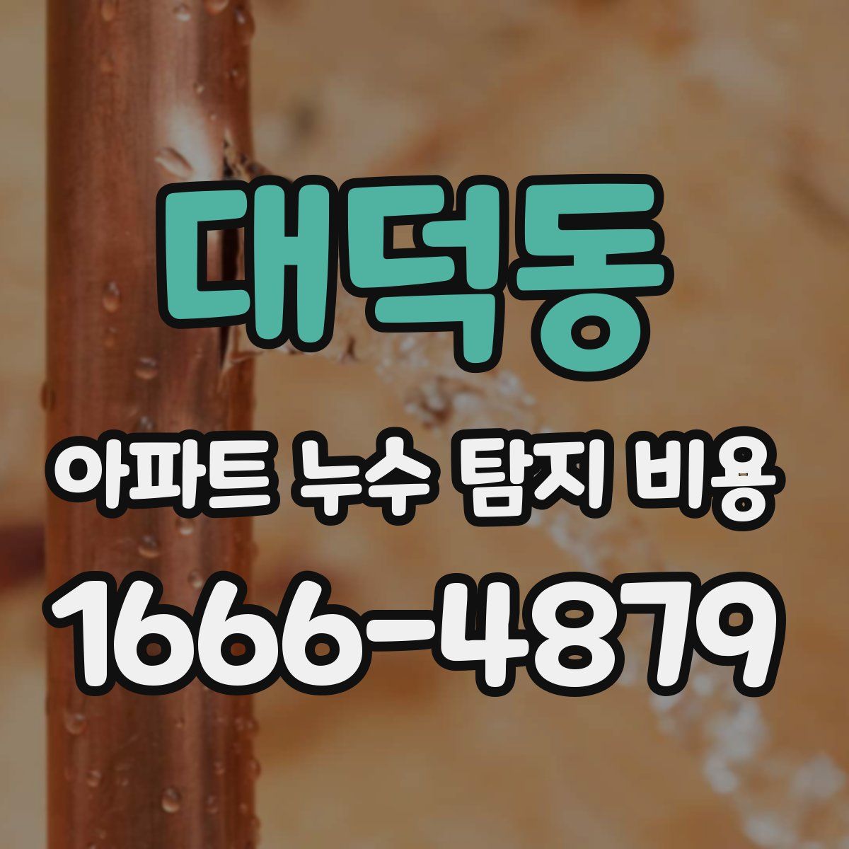 대덕동 아파트 누수 탐지 비용