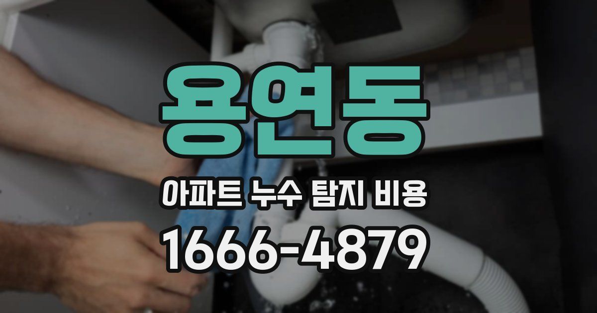 용연동 아파트 누수 탐지 비용