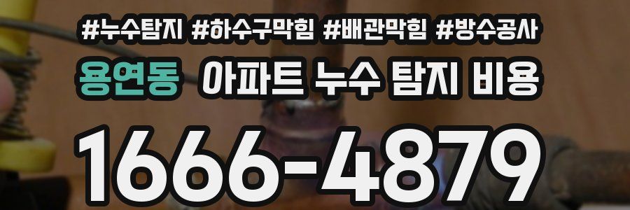 용연동 아파트 누수 탐지 비용
