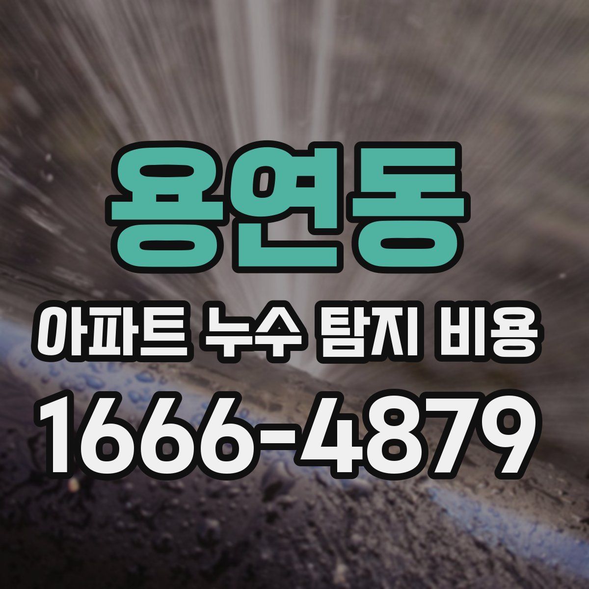 용연동 아파트 누수 탐지 비용