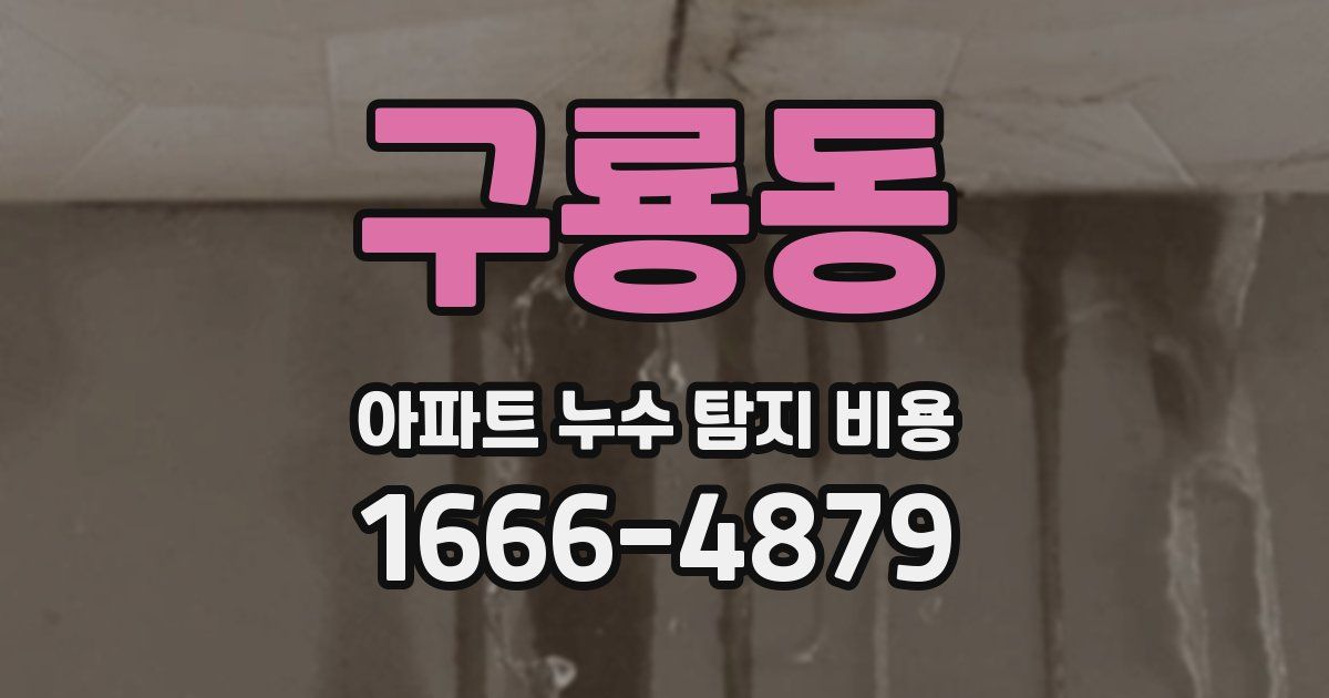 구룡동 아파트 누수 탐지 비용