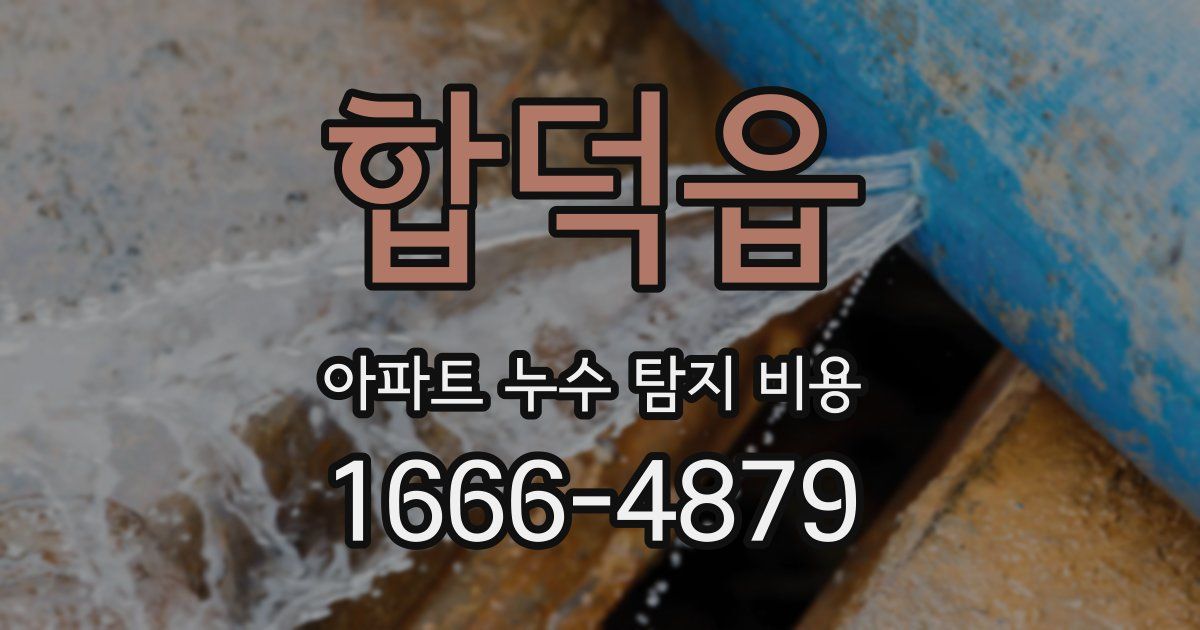 합덕읍 아파트 누수 탐지 비용