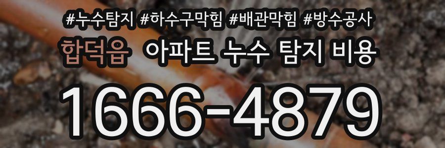 합덕읍 아파트 누수 탐지 비용