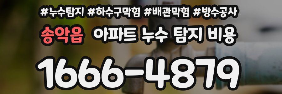송악읍 아파트 누수 탐지 비용