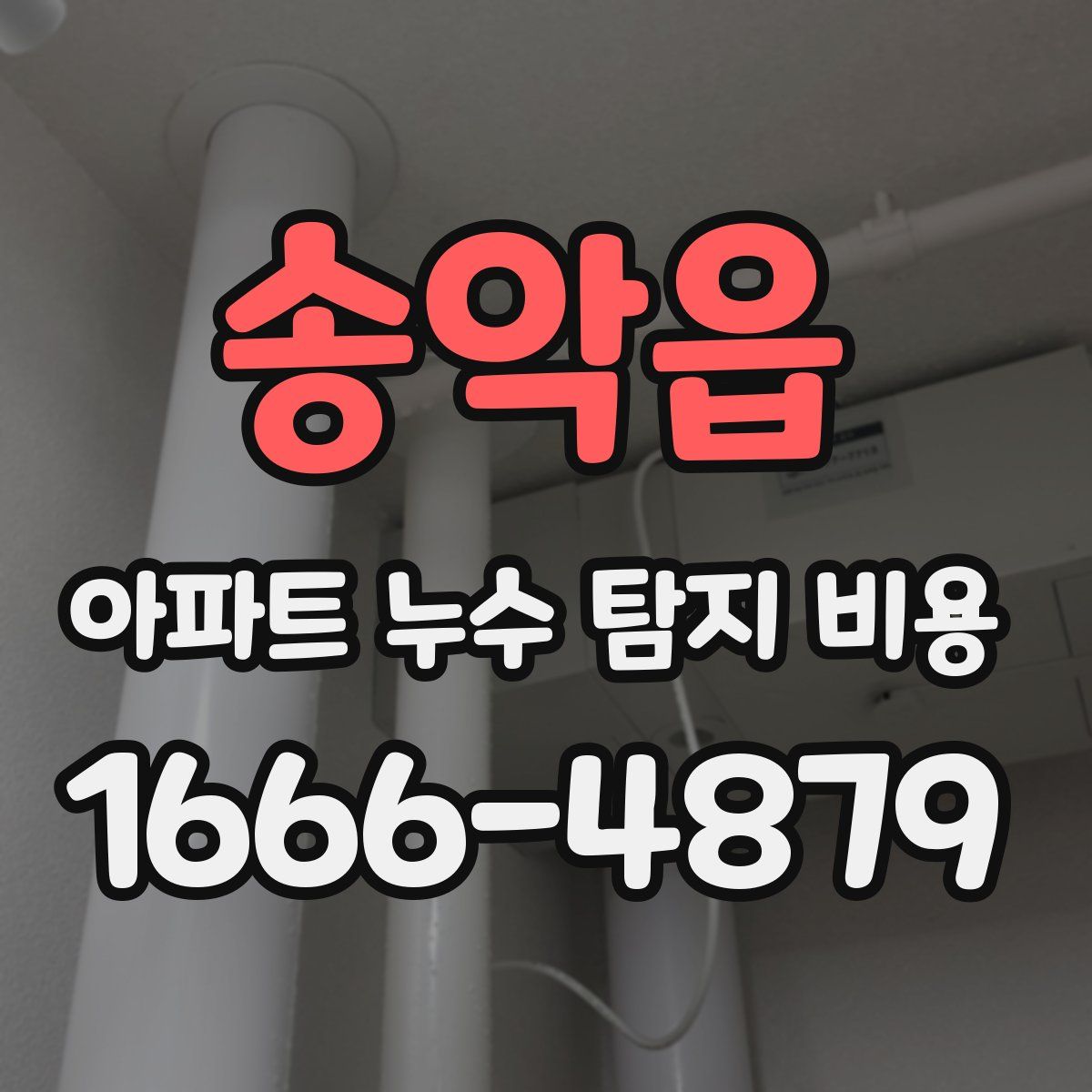 송악읍 아파트 누수 탐지 비용