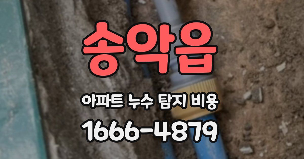 송악읍 아파트 누수 탐지 비용