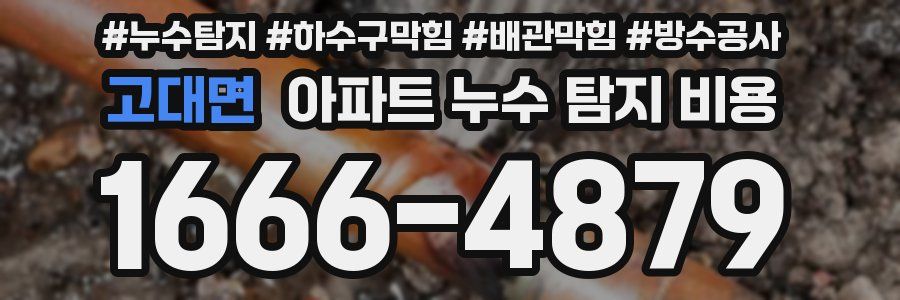 고대면 아파트 누수 탐지 비용