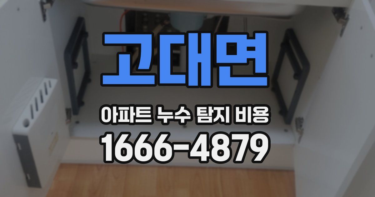 고대면 아파트 누수 탐지 비용