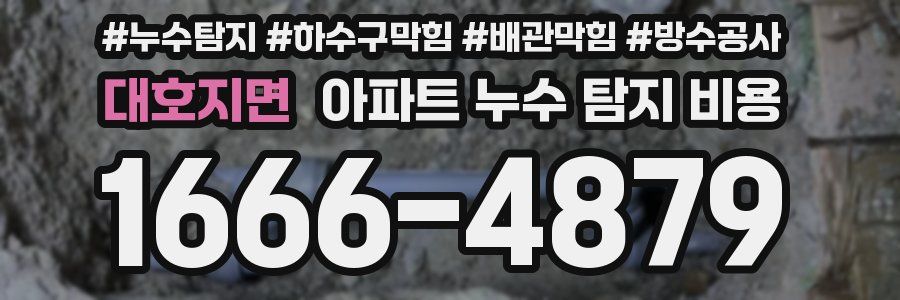 대호지면 아파트 누수 탐지 비용