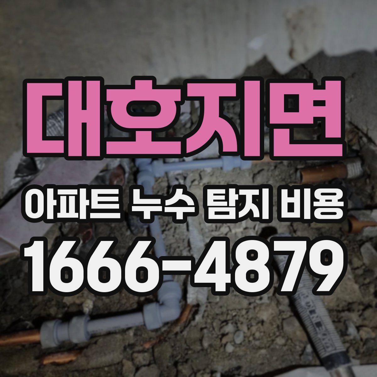 대호지면 아파트 누수 탐지 비용