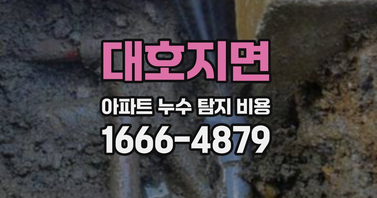 대호지면 아파트 누수 탐지 비용