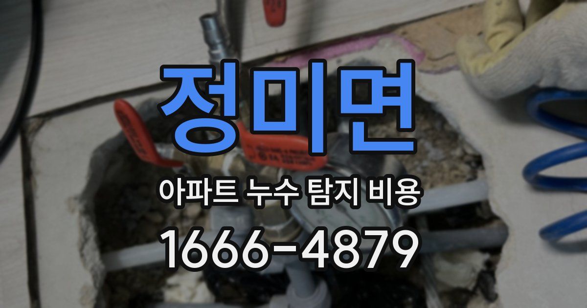 정미면 아파트 누수 탐지 비용