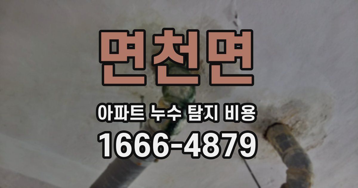 면천면 아파트 누수 탐지 비용