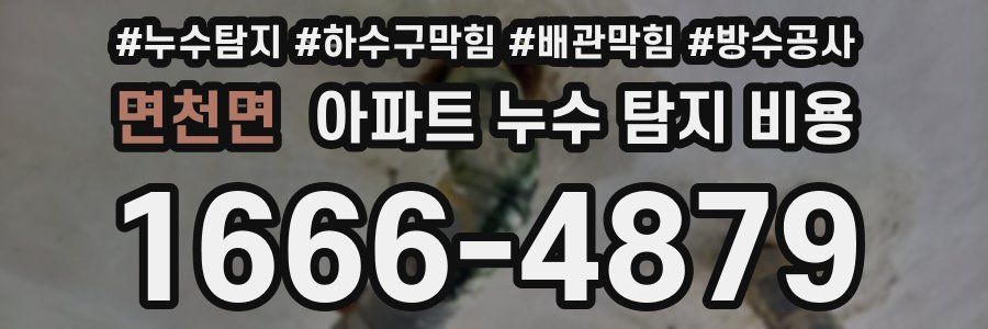 면천면 아파트 누수 탐지 비용