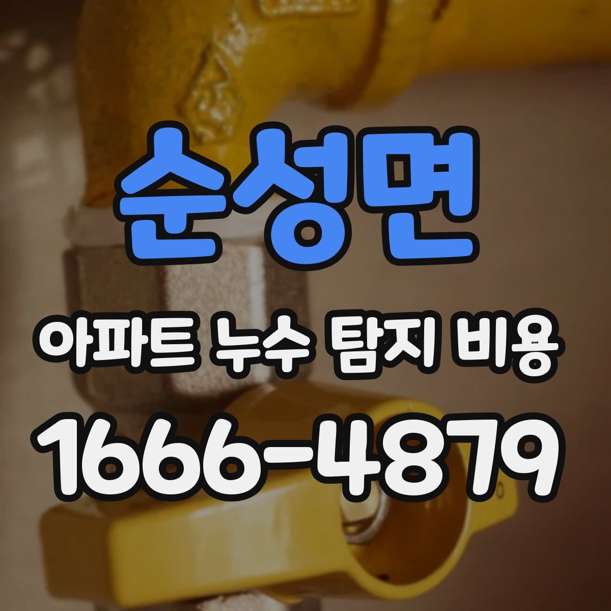 순성면 아파트 누수 탐지 비용