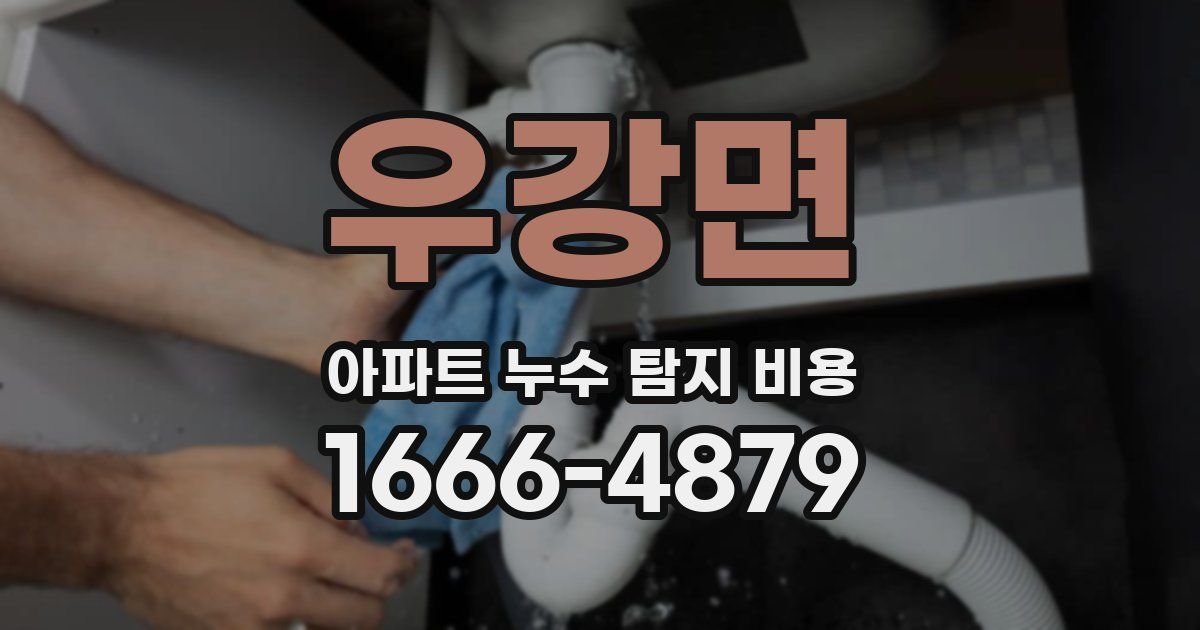 우강면 아파트 누수 탐지 비용