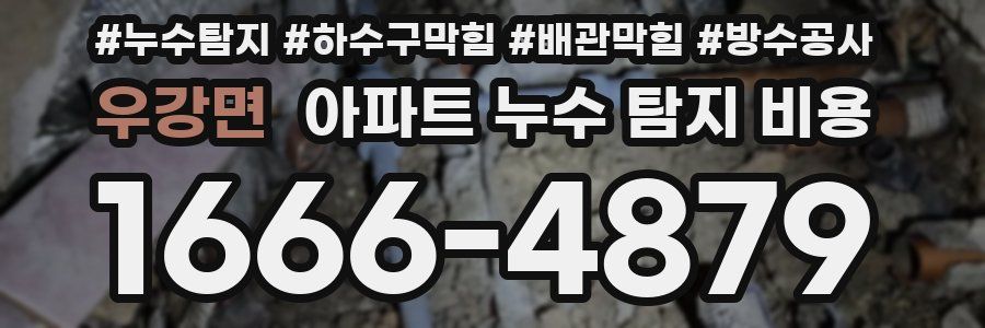 우강면 아파트 누수 탐지 비용