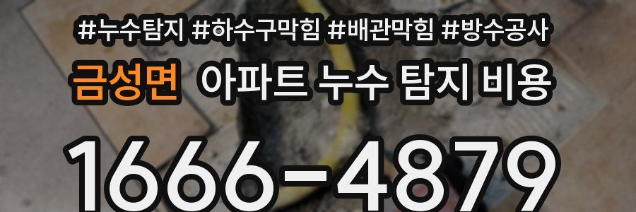 금성면 아파트 누수 탐지 비용