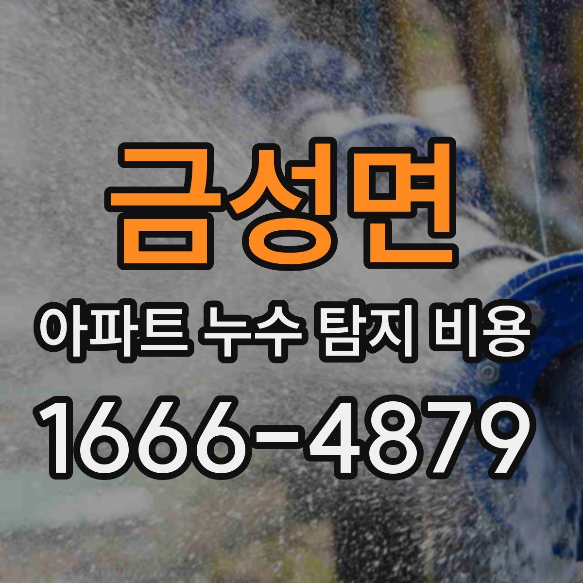 금성면 아파트 누수 탐지 비용