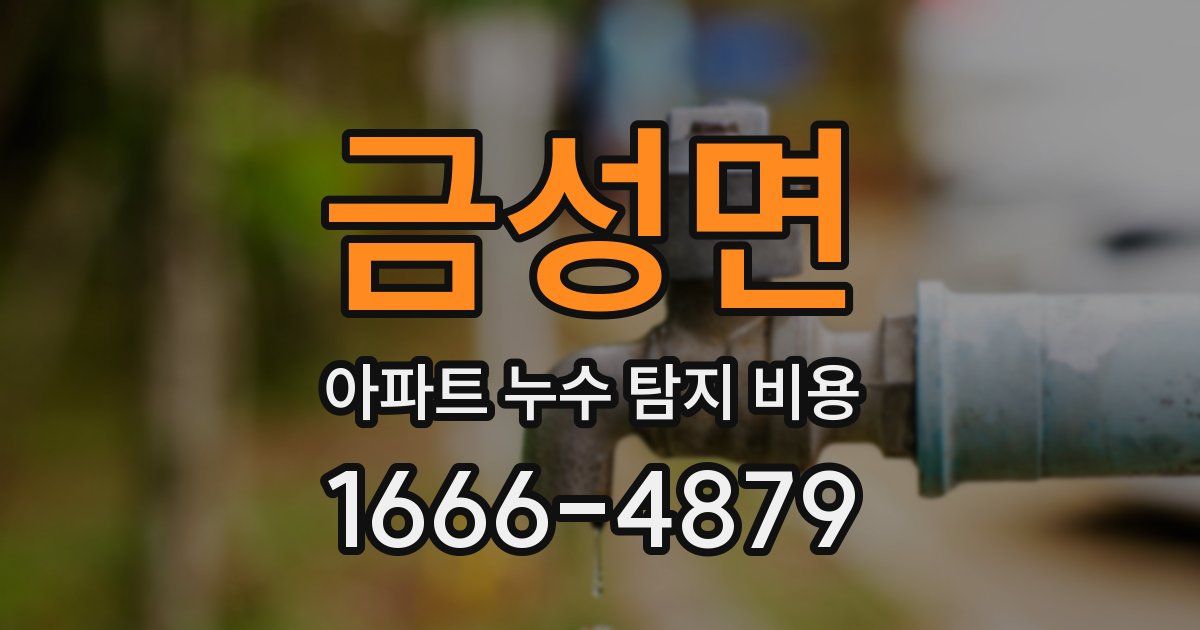 금성면 아파트 누수 탐지 비용
