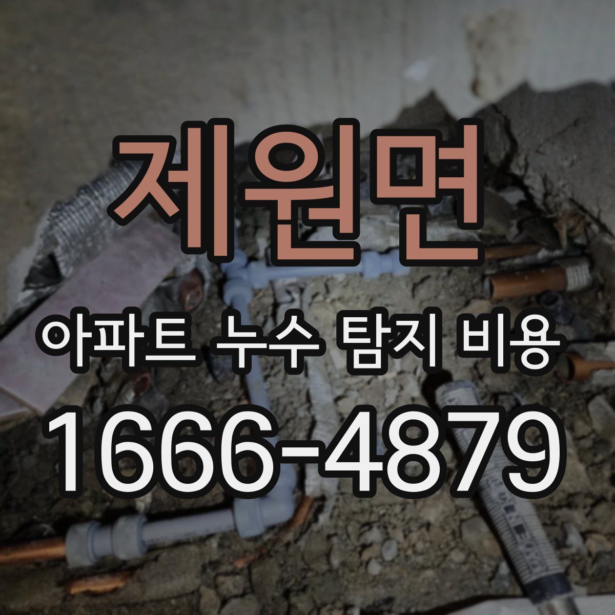 제원면 아파트 누수 탐지 비용