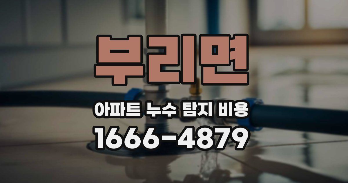부리면 아파트 누수 탐지 비용
