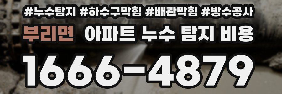 부리면 아파트 누수 탐지 비용
