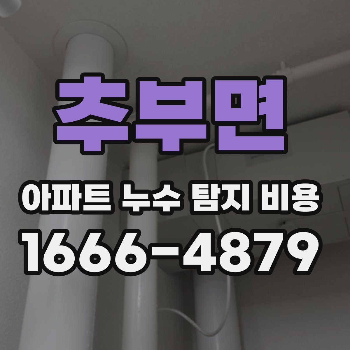 추부면 아파트 누수 탐지 비용