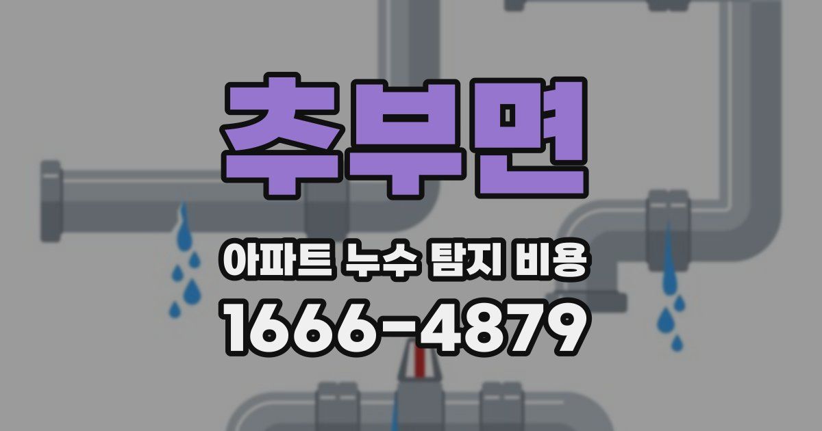 추부면 아파트 누수 탐지 비용