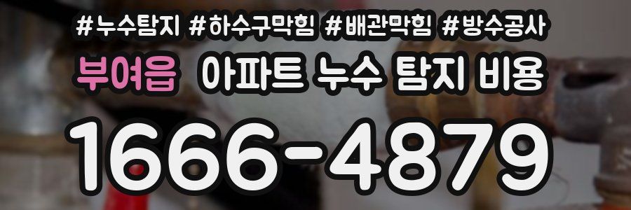 부여읍 아파트 누수 탐지 비용