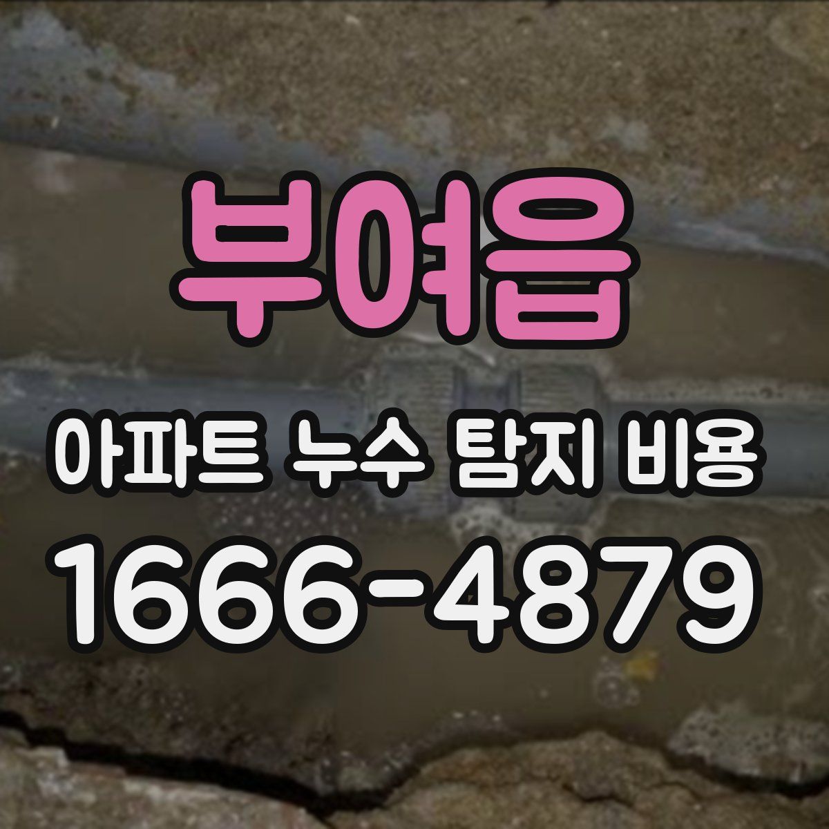 부여읍 아파트 누수 탐지 비용