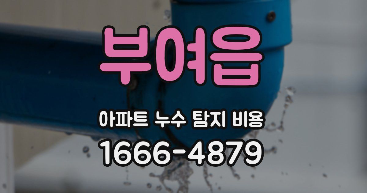 부여읍 아파트 누수 탐지 비용