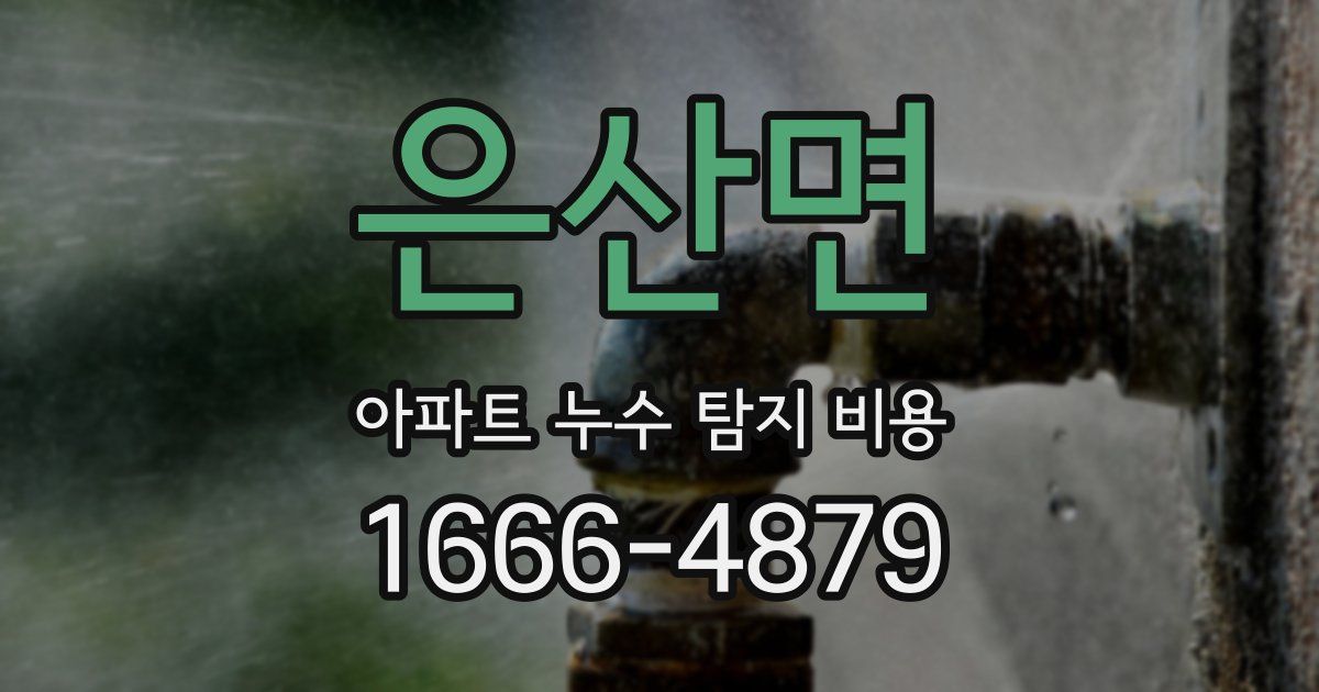 은산면 아파트 누수 탐지 비용