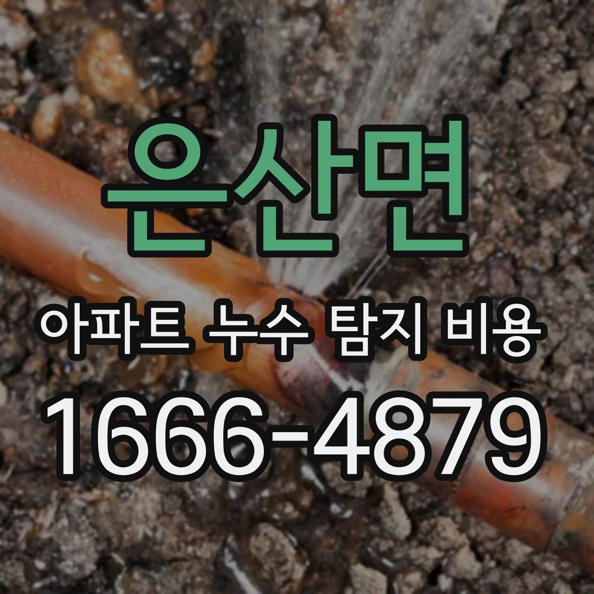 은산면 아파트 누수 탐지 비용