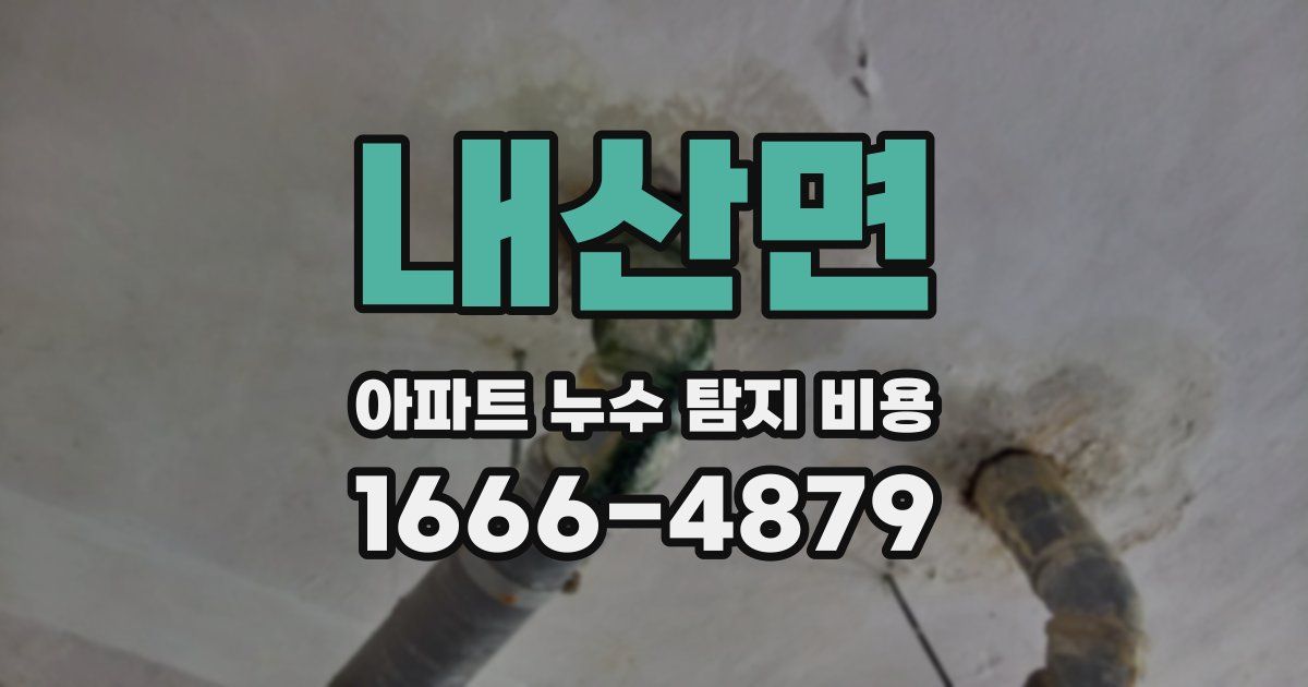 내산면 아파트 누수 탐지 비용