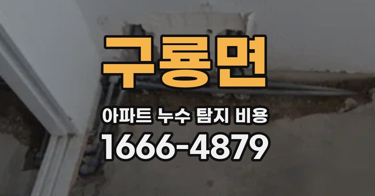 구룡면 아파트 누수 탐지 비용