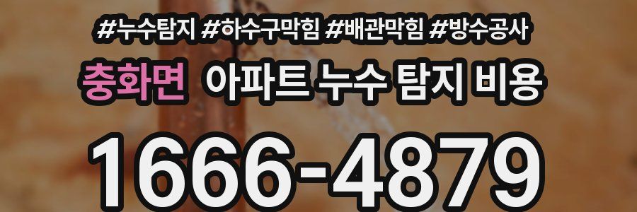 충화면 아파트 누수 탐지 비용