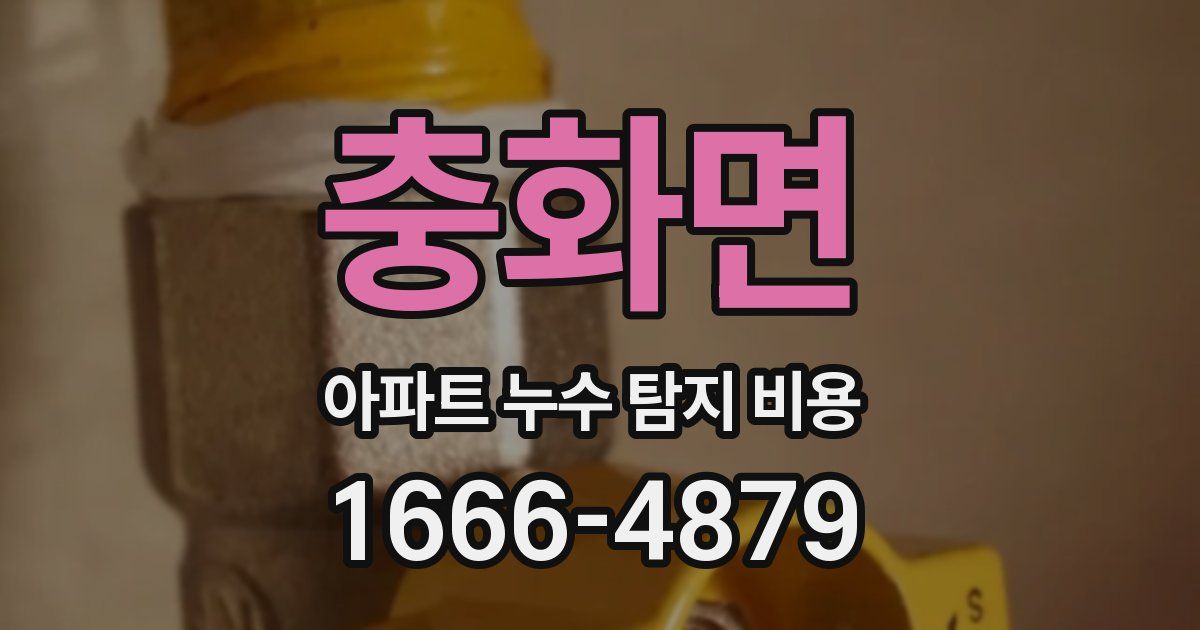 충화면 아파트 누수 탐지 비용