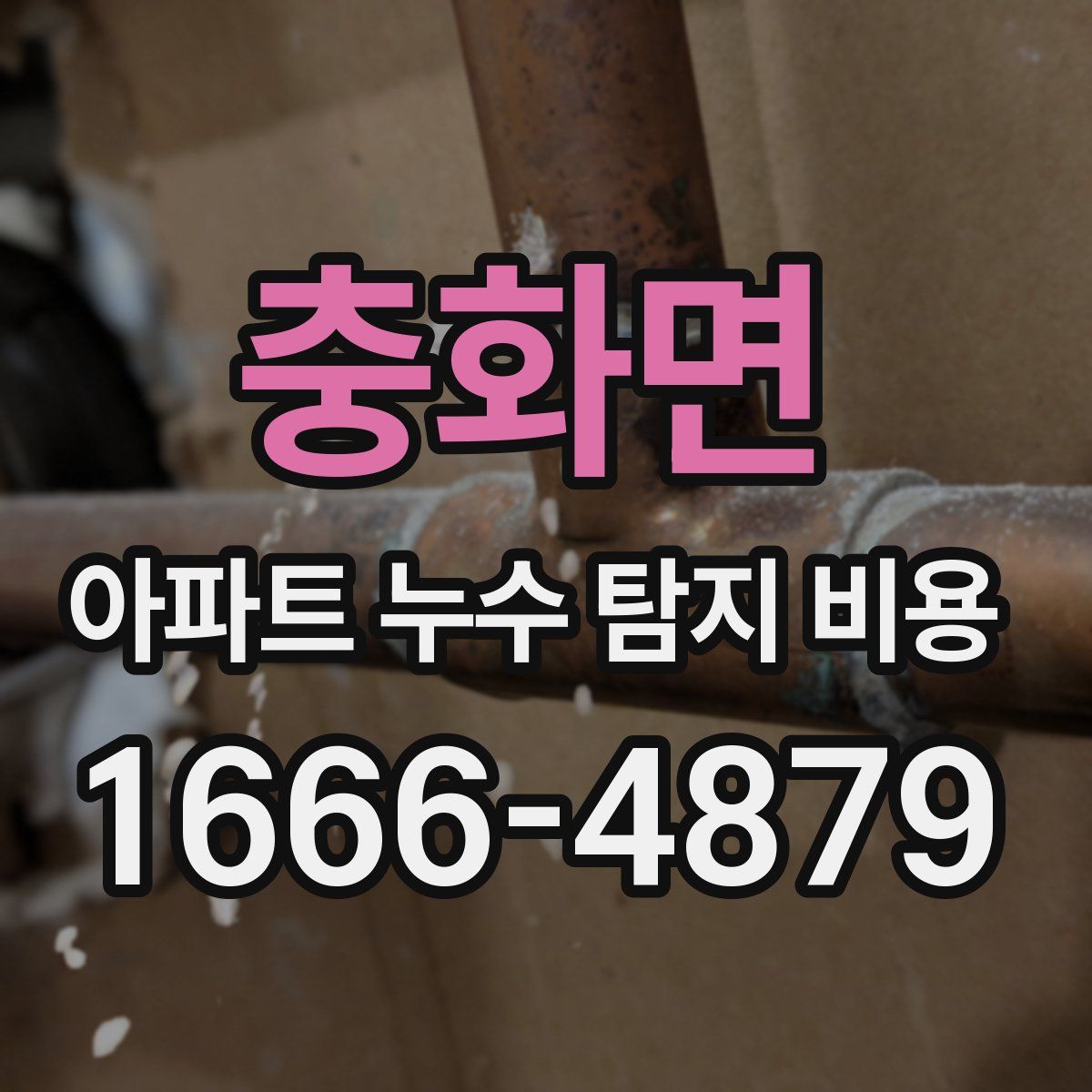 충화면 아파트 누수 탐지 비용