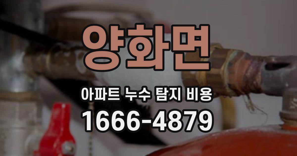양화면 아파트 누수 탐지 비용