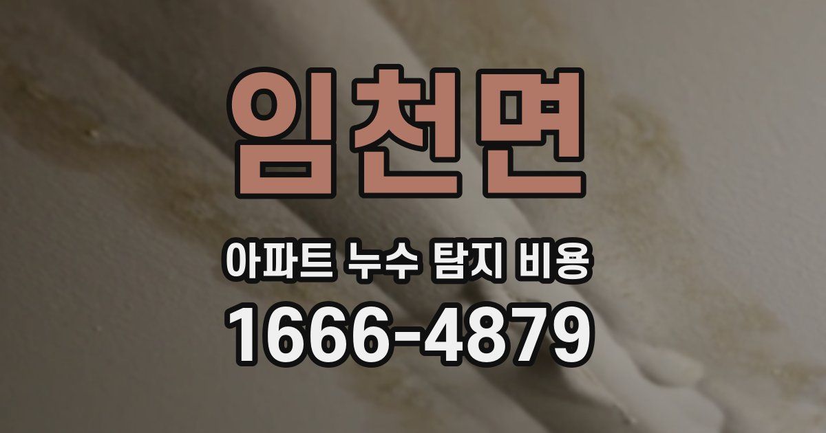 임천면 아파트 누수 탐지 비용