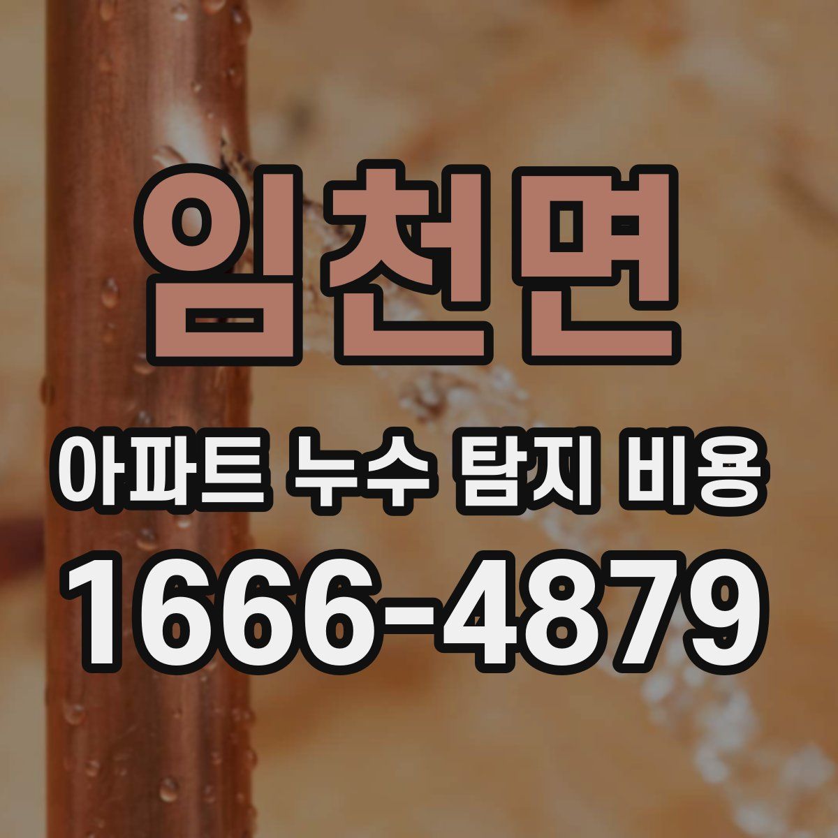 임천면 아파트 누수 탐지 비용