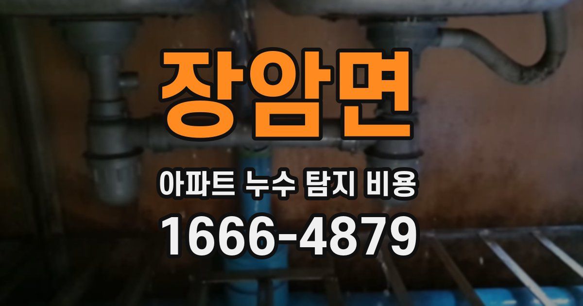 장암면 아파트 누수 탐지 비용