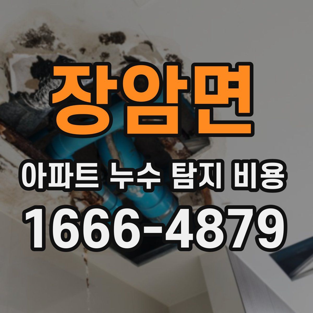 장암면 아파트 누수 탐지 비용