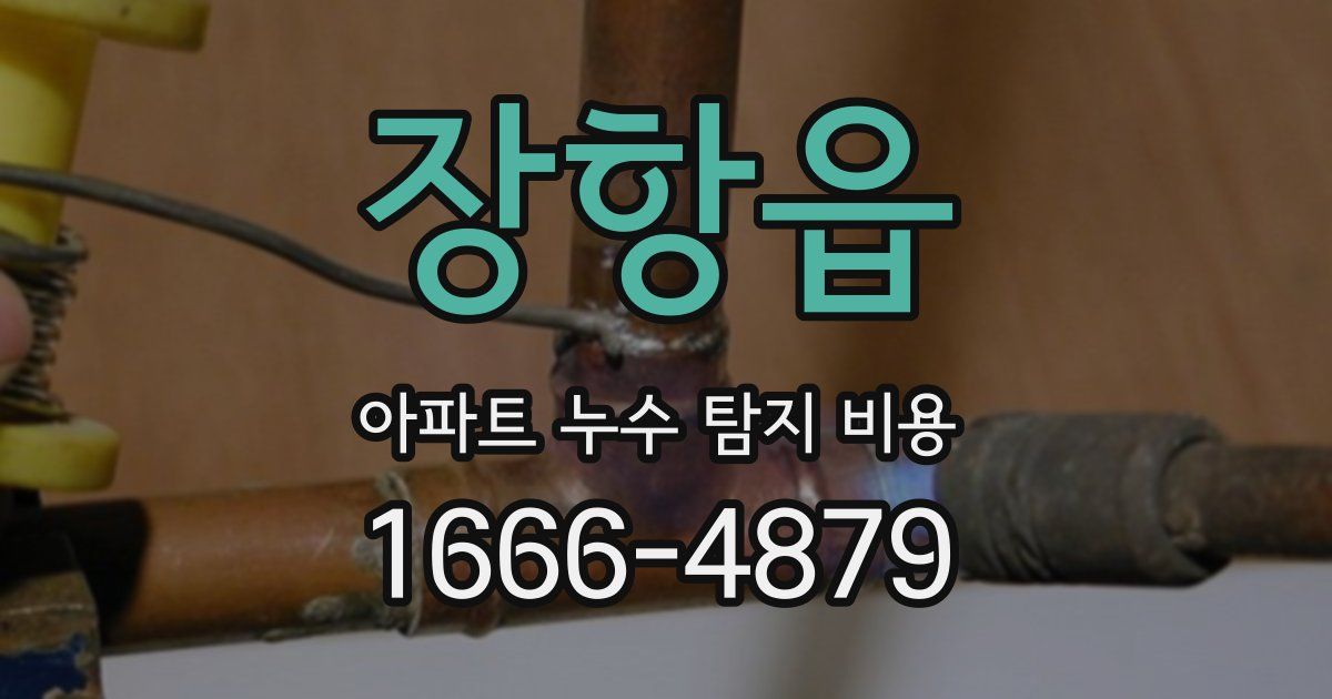 장항읍 아파트 누수 탐지 비용