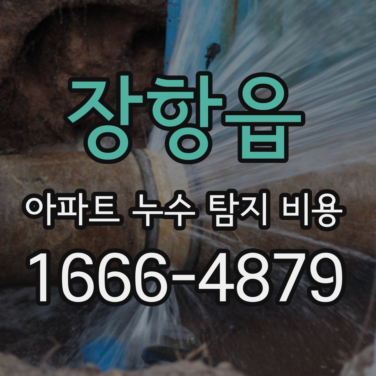 장항읍 아파트 누수 탐지 비용