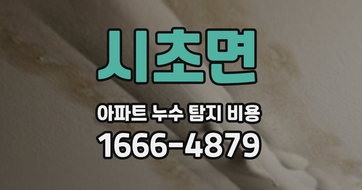 시초면 아파트 누수 탐지 비용